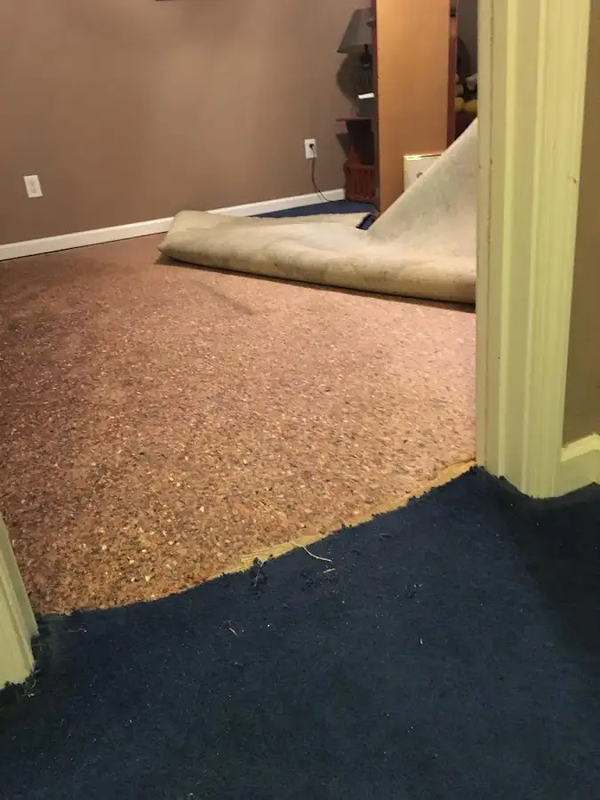 Carpet pad removal revealing water damage during Drying & Dehumidification in West Whiteland